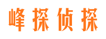 三水调查公司